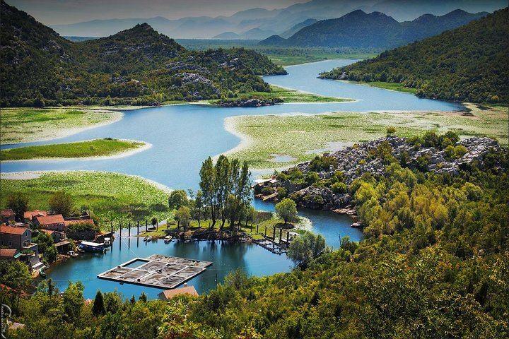 Skadar Lake national park